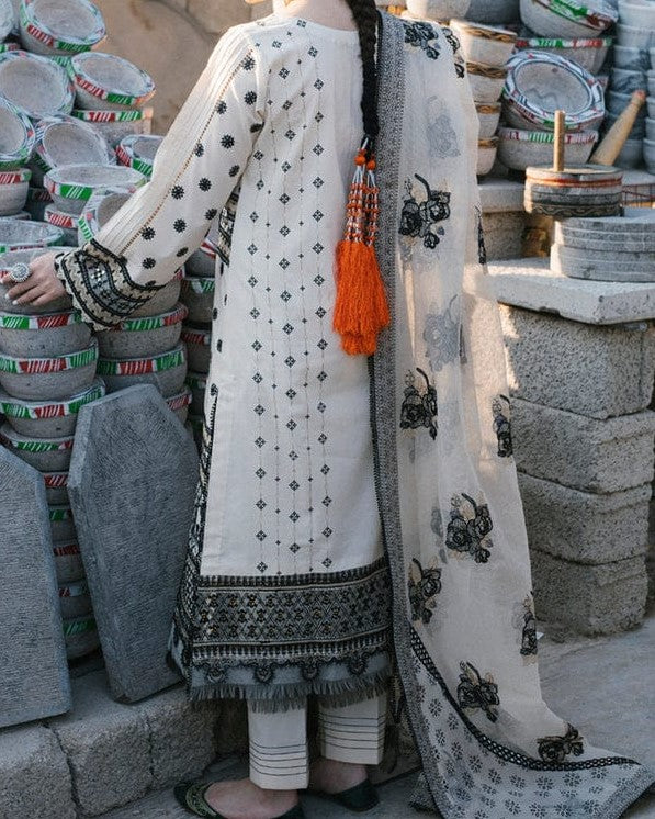 Luxury Cotton Net – Embroidered Formal Collection (Unstitched 3-Piece)