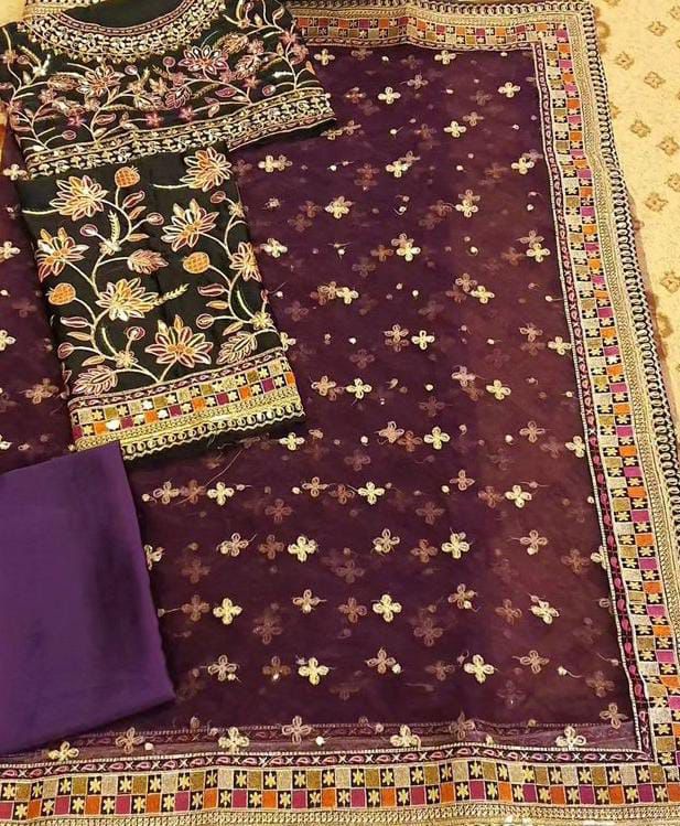 Net embroidered saree with silk blouse, peti coat and trouser – festive premium collection - buyfromdanish.com