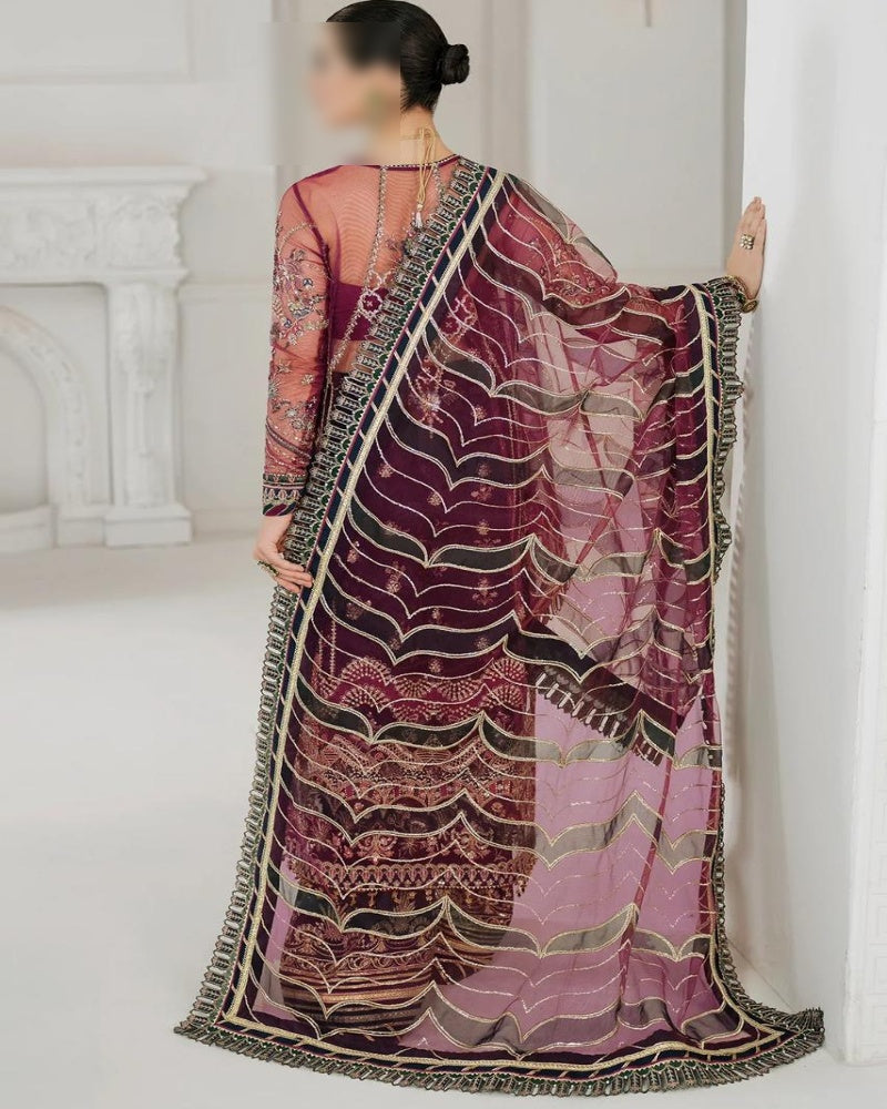 Luxury Net Embroidered Front with Sequence Work and Hanging Tussles – Buyfromdanish.com