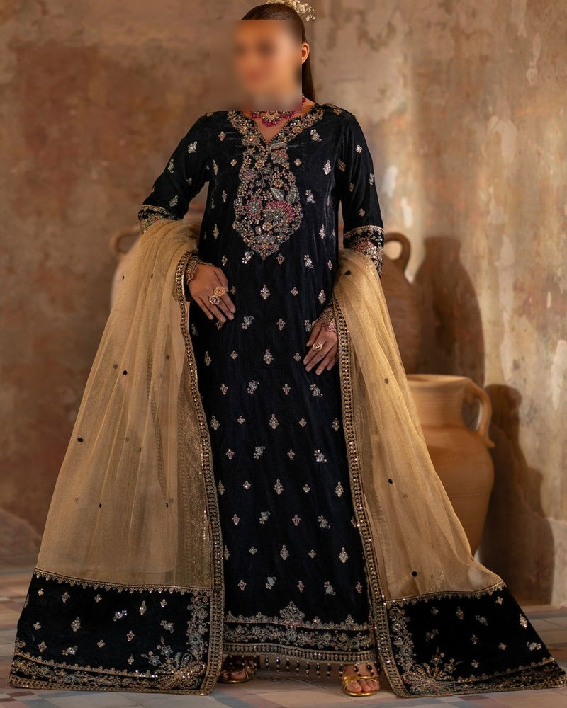 Luxury Velvet Embroidered Front with Heavy Sequence Work – Buyfromdanish.com