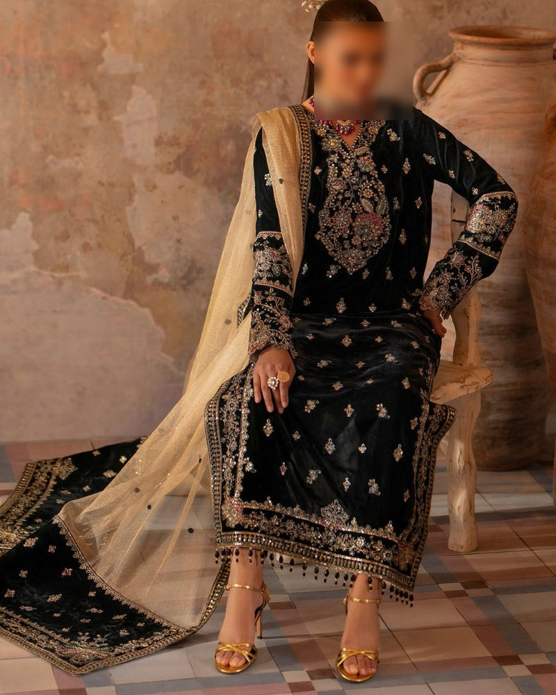 Luxury Velvet Embroidered Collection – Festive & Wedding Wear