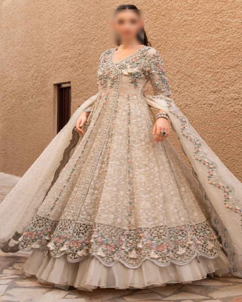 Organza Embroidered Maxi Dress Pakistan, Luxury Formal Wear for Women, Sequin and 3D Floral Work Maxi, Wedding Outfit 2025, buyfromdanish.com
