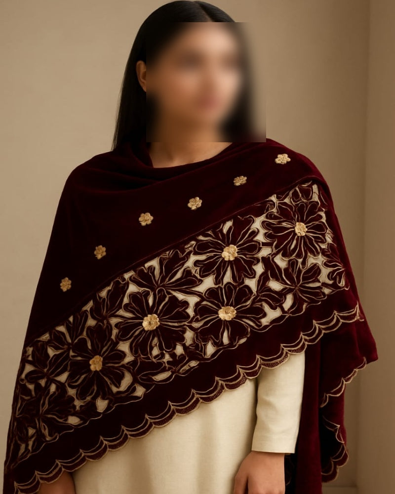 Luxury Micro Velvet Shawl with Double-Sided Heavy Laser Cut Aari Embroidery – Winter Collection 2025